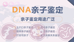 南京隐私亲子鉴定哪里做的准,南京隐私亲子鉴定条件和材料 南京隐私亲子鉴定哪里做的准,南京隐私亲子鉴定条件和材料
