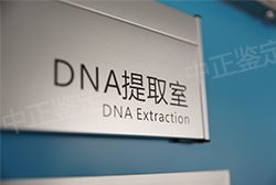 南京医院做亲子鉴定准不准,医院做亲子鉴定检材有哪些 南京医院做亲子鉴定准不准,医院做亲子鉴定检材有哪些